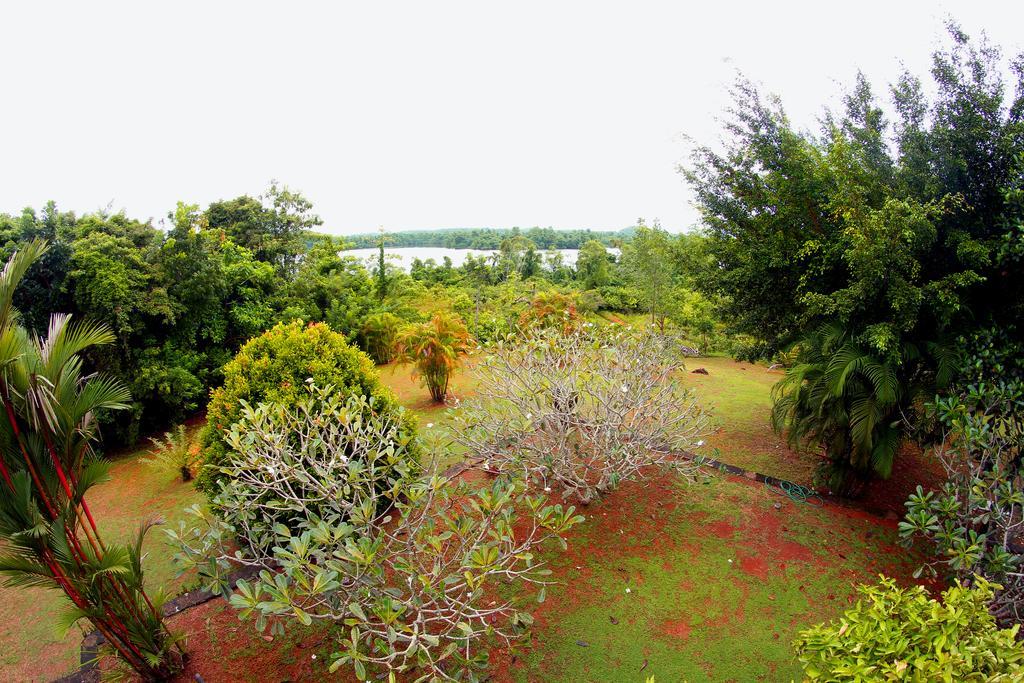 Sobaco Nature Resort Bentota Zewnętrze zdjęcie