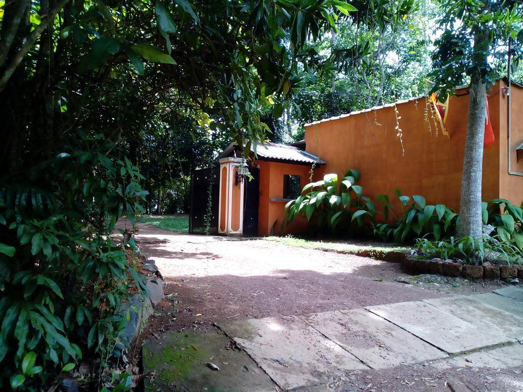 Sobaco Nature Resort Bentota Zewnętrze zdjęcie