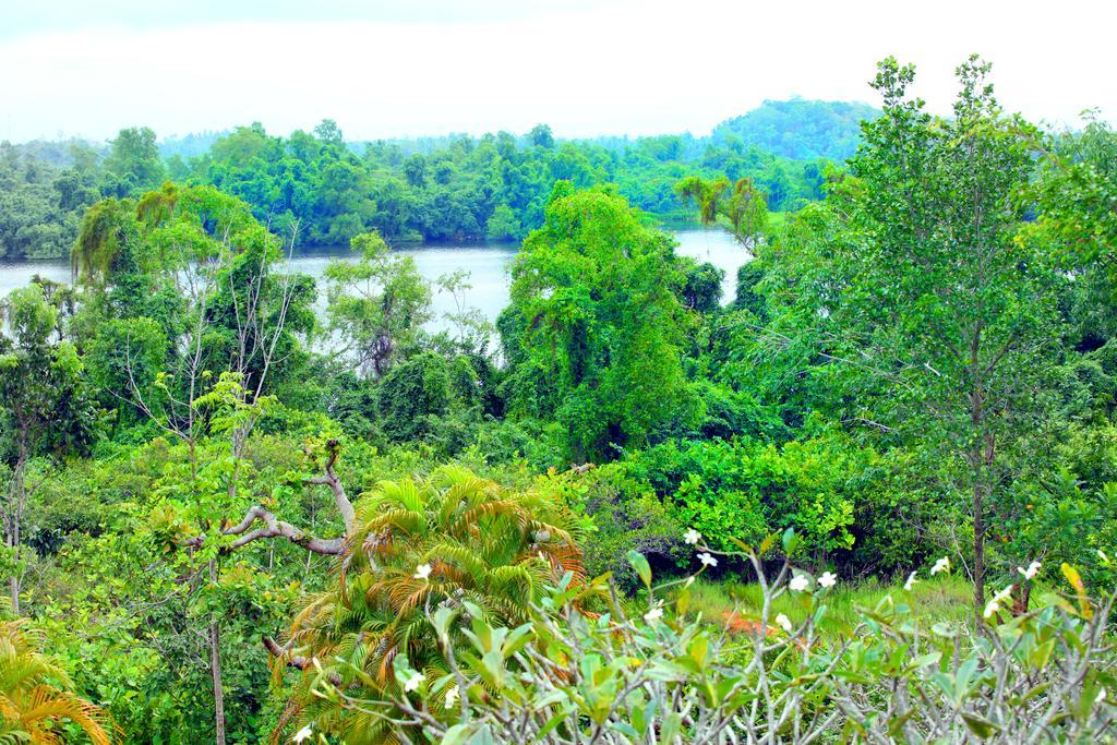Sobaco Nature Resort Bentota Pokój zdjęcie