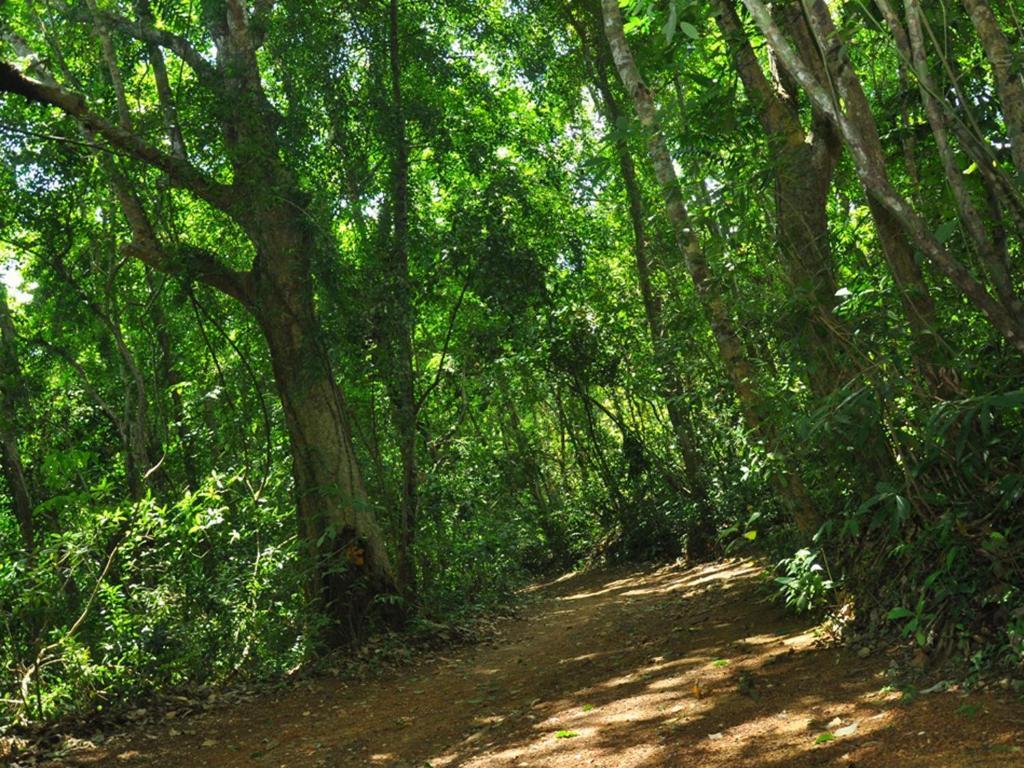 Sobaco Nature Resort Bentota Zewnętrze zdjęcie